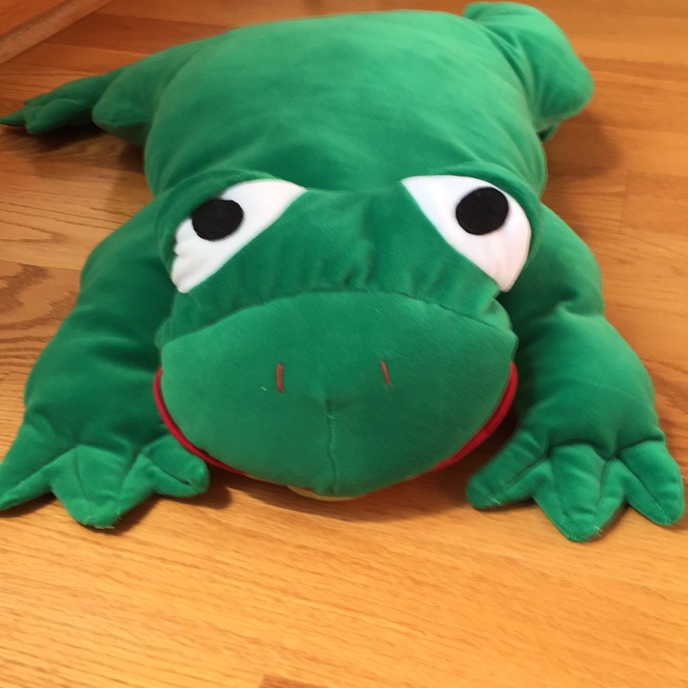 Frog Pillow - Picture 3 of 5